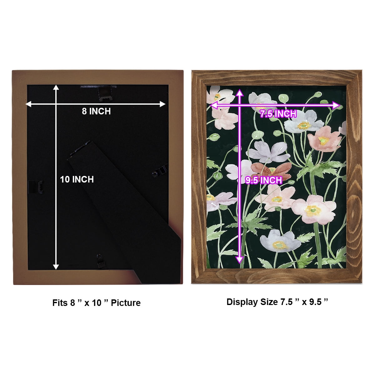 Anemone Dance II -Framed Print w/glass-Walnut