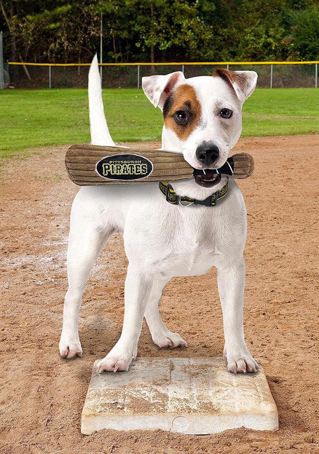 Pets First MLB Pittsburgh Pirates BAT TOY for DOGS & CATS. 29 MLB Teams available. - Plush PET TOY with inner SQUEAKER. Officially Licensed Baseball BAT.