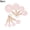 Pink, variant on 8 Pcs/set Stainless Steel Measuring Cups Spoons Washable Reusable Measuring Spoon Kitchen Baking Cooking Tools Set,Pink