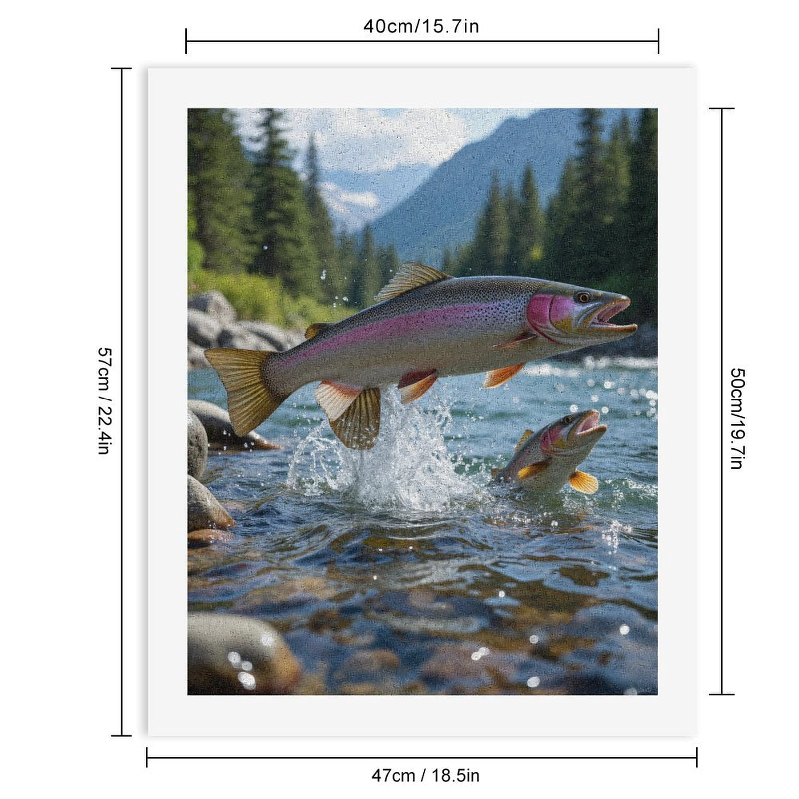 Paint by Numbers Kit for Adults, Rainbow Trout In Mountain Stream Paint by Numbers, Easy Paint by Numbers Kit for Adults Beginner, DIY Adult Paint by Number Kits on Canvas, 12x16in Home Decor