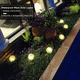 thumbnail image 5 of Luz de bola Solar para jardín, luz LED para exteriores, pasarela, patio, césped, 5 of 5