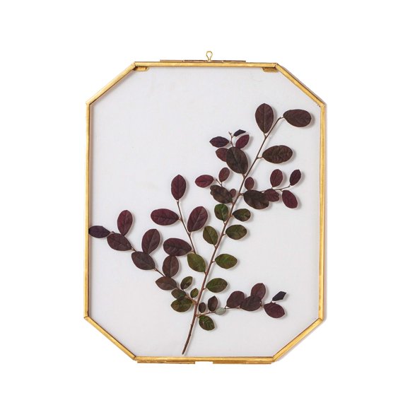 Marco flotante NCYP para flores secas prensadas 20,5 x 25,5 cm