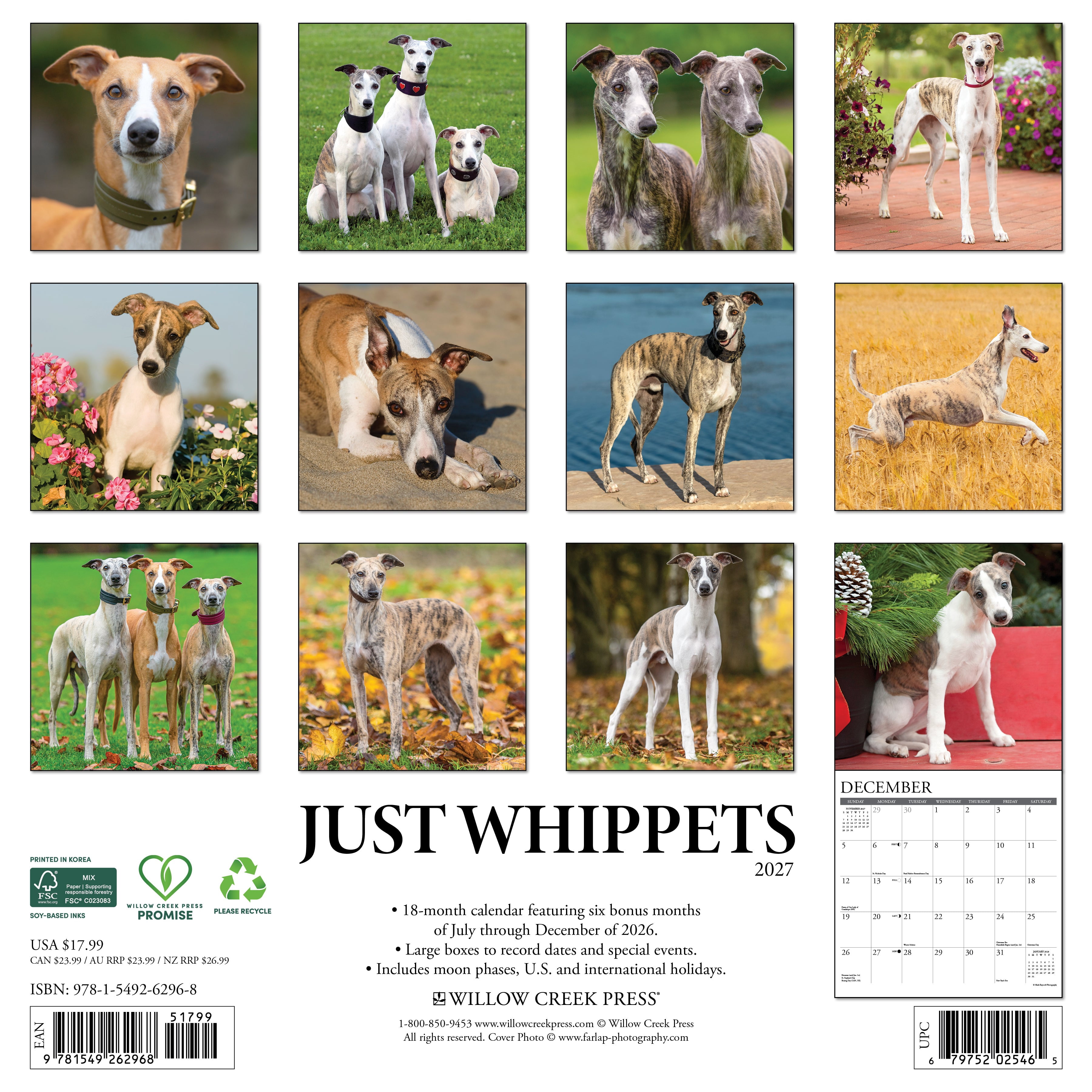 Willow Creek Press, Whippets 2027 Wall Calendar