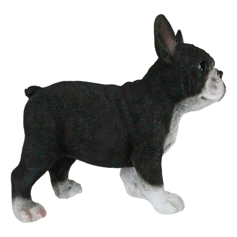 Professional Fabric Dog Mannequin Like A French Bull Dog Black Size Large  Life