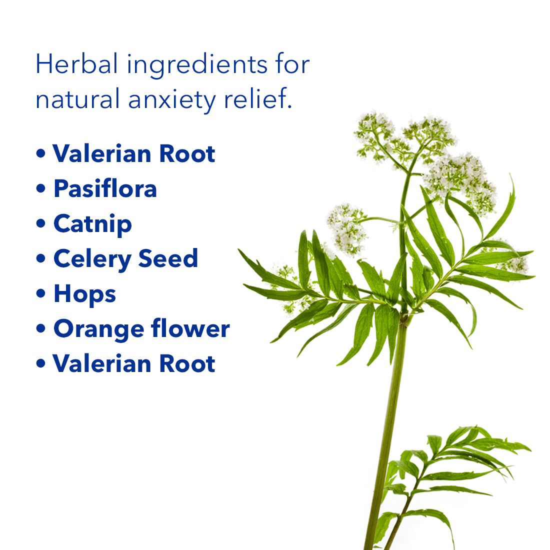 Nerviosil Calming Herbal Dietary Supplement for Sleeping Aid & Calming Pain Relief Tablets, 30 Ct
