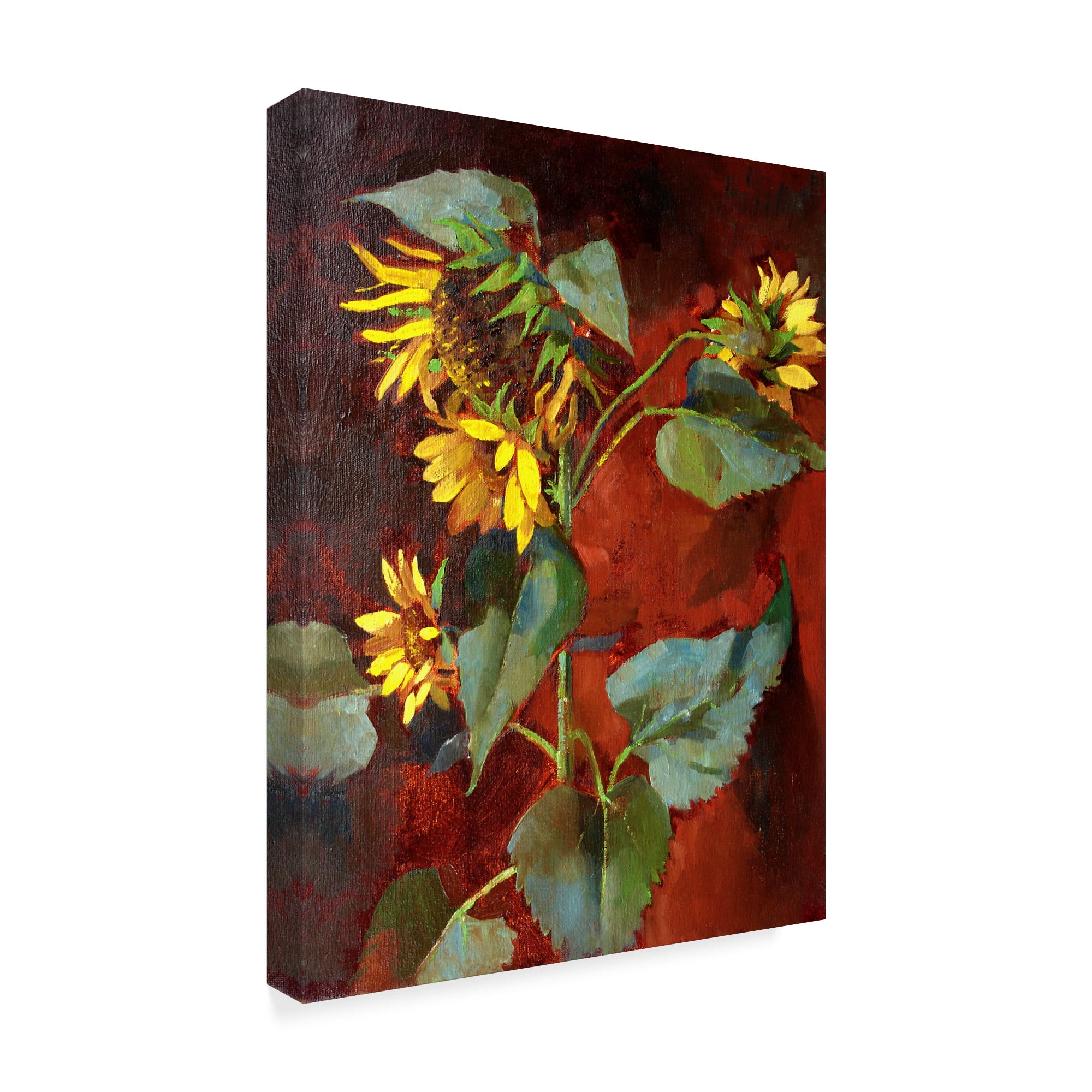 Trademark Fine Art 'Sunflower Red' Canvas Art by Hall Groat Ii