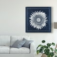 thumbnail image 3 of Trademark Fine Art 'Moon Flower I' Canvas Art by Grace Popp, 3 of 4