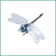 thumbnail image 2 of Juguete repelente de mosquitos para exteriores, modelo de libélula de simulación, repelente de mosquitos, longitud del ala 12 cm, 2 of 6