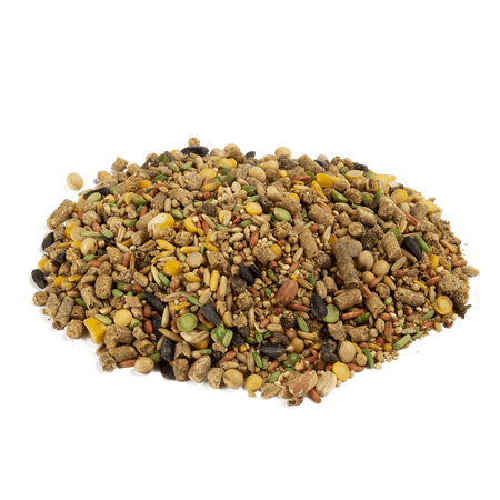 Wild Harvest™ Advanced Nutrition Hamster & Gerbil 4.5 lb