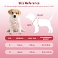 thumbnail image 7 of Dog Harness and Leash Set, No Pull Dog Vest Harness for Walking and Training, Adjustable, Easy Control and Breathable Pet Harness for Small Dogs, 7 of 7
