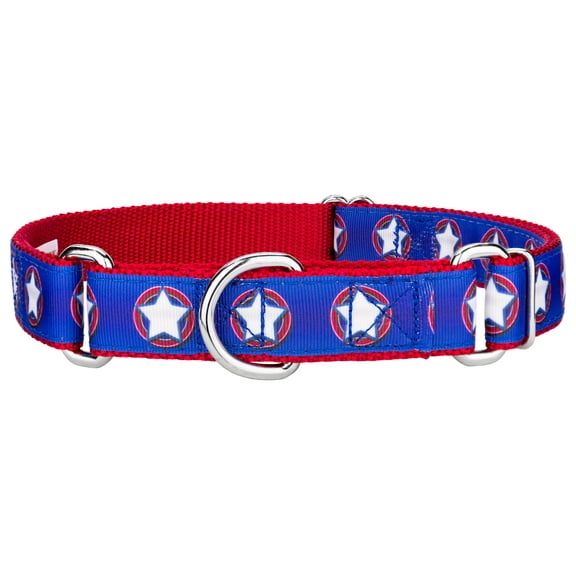 Country Brook Petz® American Star Ribbon Martingale Dog Collar Limited Edition, Medium
