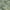 Green, variant on Addison Rugs Chantille Indoor/Outdoor Transitional Squares Taupe Washable Rectangle Rug, 10' x 14'