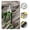 Green, variant on Pruning Shears, Garden Pruning Scissors, Stainless Steel Bypass Pruners, Ergonomic Handle Gardening Clippers, for Branch Flower Cutting