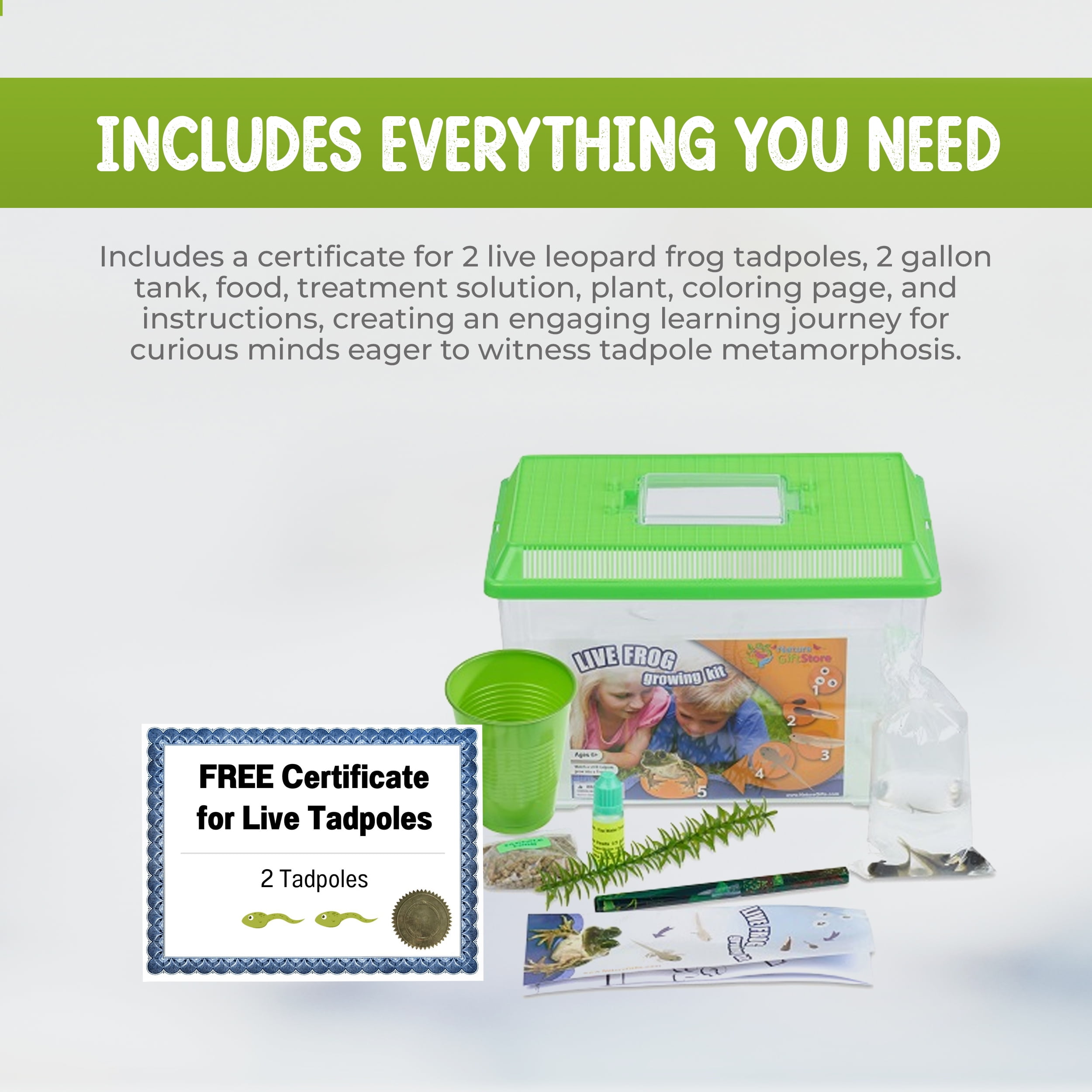 Frog Growing Kit: 2-Gallon Habitat with 2 FREE Tadpoles - Certificate to  Redeem 