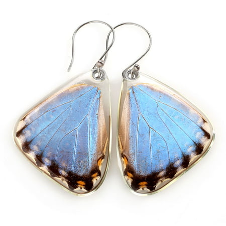 Women's Handcrafted Blue Morpho Portis Butterfly Dangle Earrings