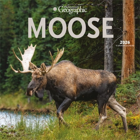 Canadian Geographic Moose OFFICIAL | 2026 12x24" (Hanging) Wall Calendar | Wyman