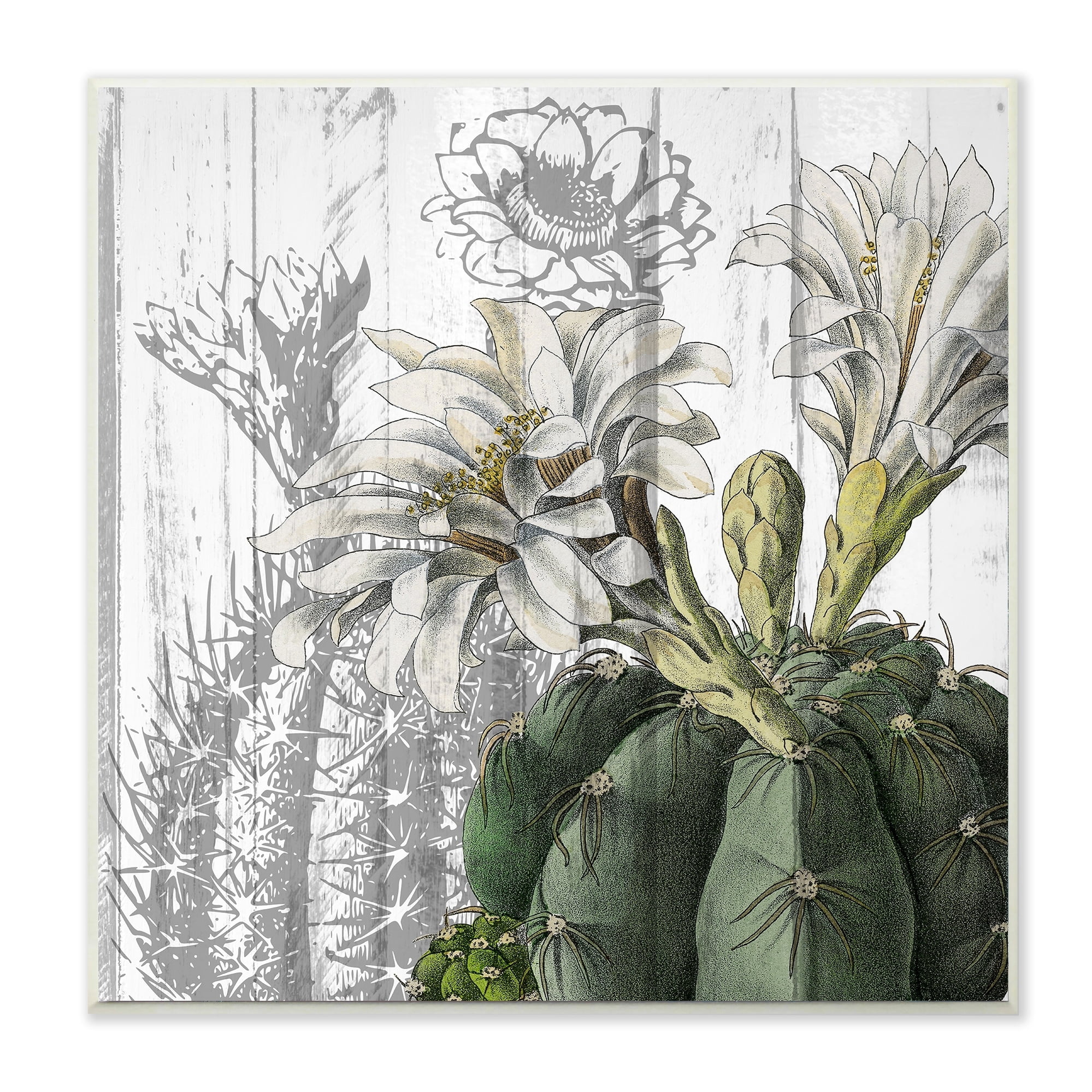 Kimberly Allen White Blooming Flowers and Soft Grey 12 in x 12 in Painting Art Prints, by Stupell Home Décor