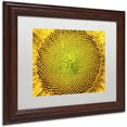 thumbnail image 2 of Trademark Fine Art "Cosmic Patterns in Nature" Canvas Art by Kurt Shaffer, White Matte, Wood Frame, 2 of 4