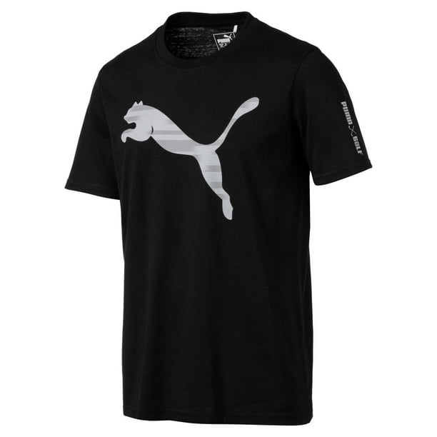 is puma a big cat