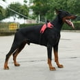 thumbnail image 4 of Dog Vest Harness Pet Chest Strap Adjustable Reflective Training Vest For Outdoor Walking Easy Control, 4 of 4