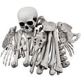 thumbnail image 2 of XONOR 28 Piezas de esqueletos y calaveras para decoración de Halloween, 2 of 3