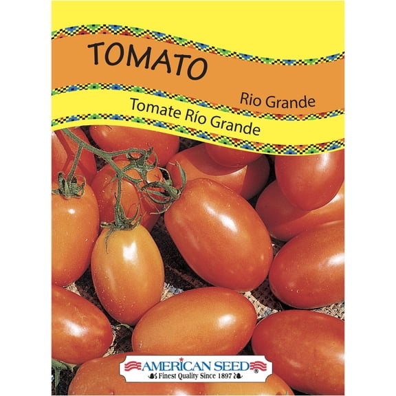 American Seed Tomato Rio Grande Annual Vegetable Seeds Full Sun