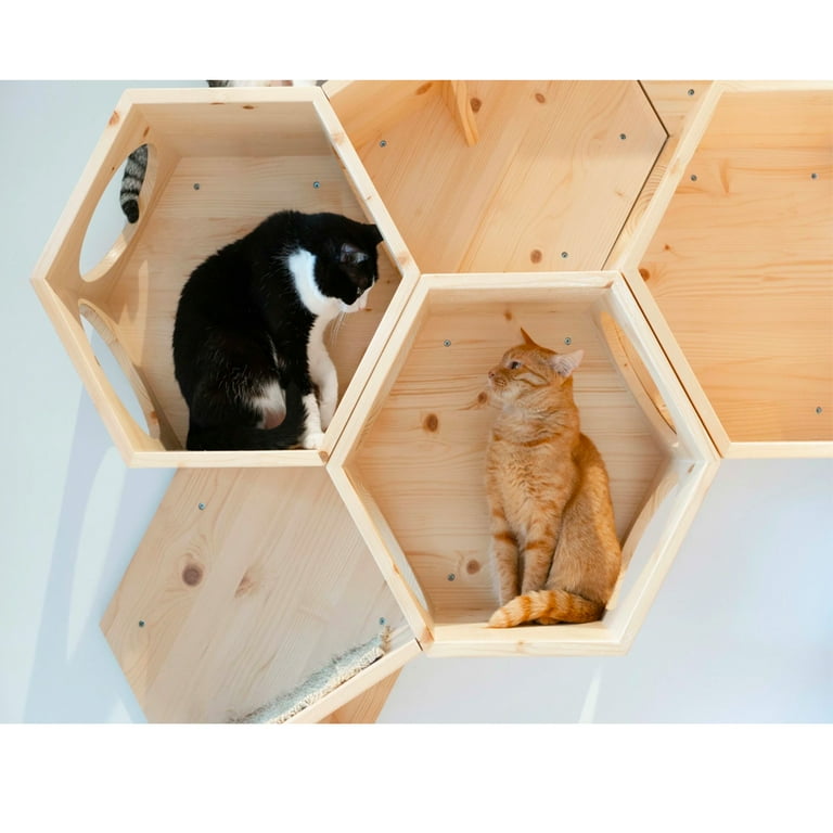 MYZOO Busycat Floating Hexagon Wall Mounted Cat Shelf Bed w
