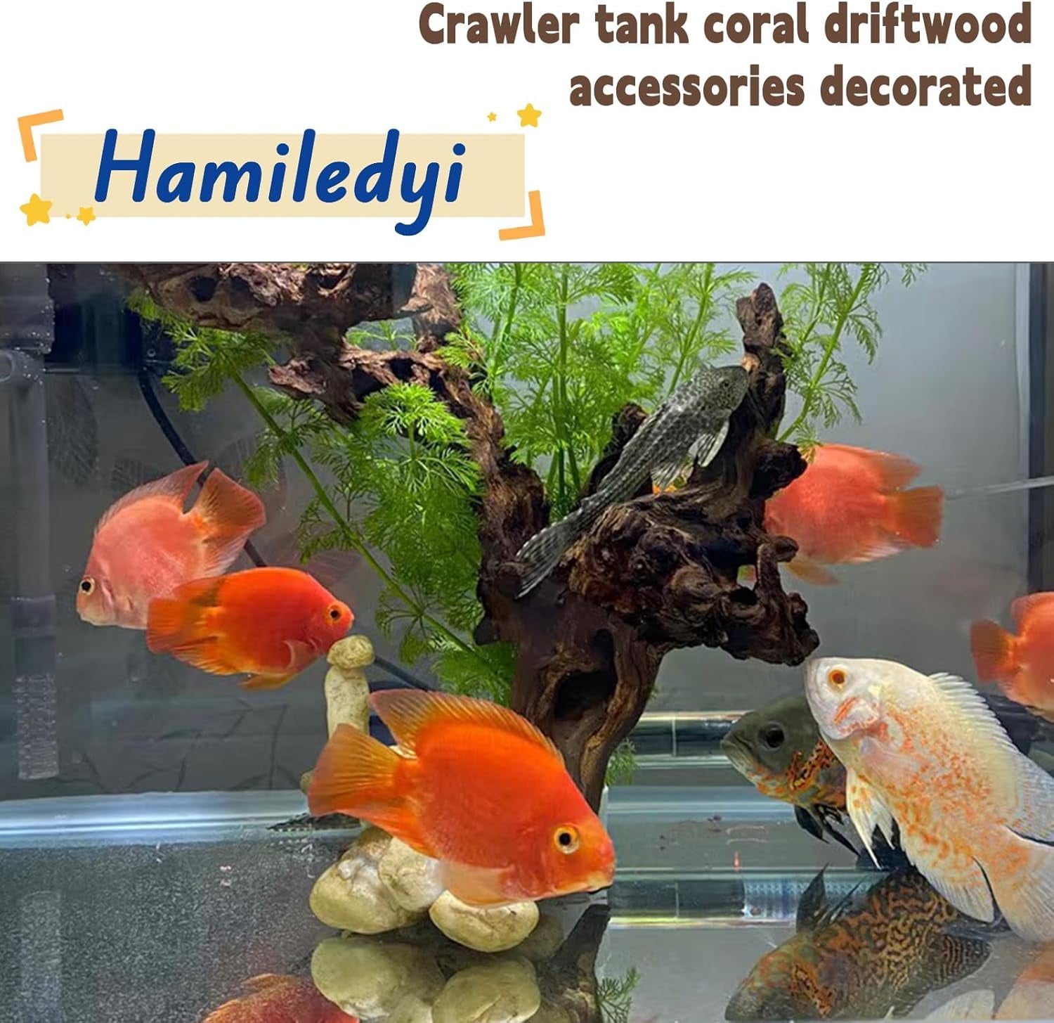 Aquarium Driftwood 3PCS Natural Trunk Driftwood Assorted Branches 8-12" Reptile Wood Decor Terrarium Ornament Fish Tank Decoration