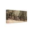 thumbnail image 2 of Trademark Fine Art 'Olive Trees Tall Grass' Canvas Art by Dan Ballard, 2 of 3