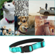 thumbnail image 4 of Procesamiento de collar de perro Collar de servicio pesado Forro de nylon balístico Collar de perro reflectante Acero inoxidable ajustable Adepaton CPB-US-YY57-7, 4 of 5