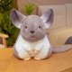 thumbnail image 1 of Lindo juguete de peluche para hámster con chinchillas, 1 of 1