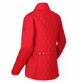 thumbnail image 2 of Regatta - Chaqueta Carita Acolchado para Mujer (Rojo Real), 2 of 4