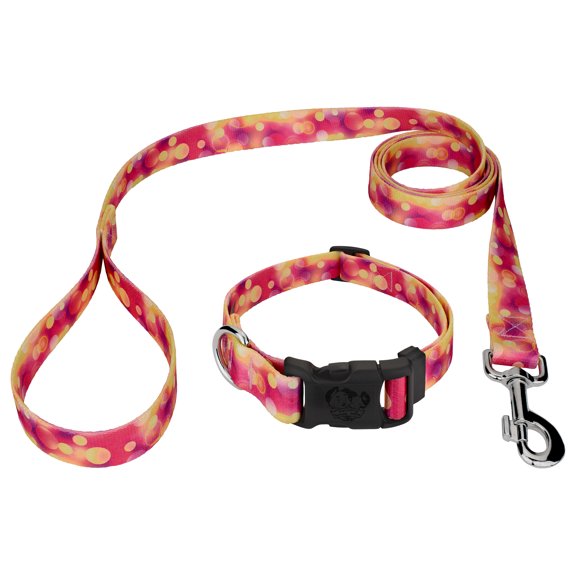 Country Brook Petz® Deluxe Unfocused Affection Dog Collar and Leash Limited Edition, Extra Small