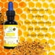 thumbnail image 5 of KIT de 3 Propóleos Organicos Radiant Xtend Concentrado 100% Natural, 5 of 6
