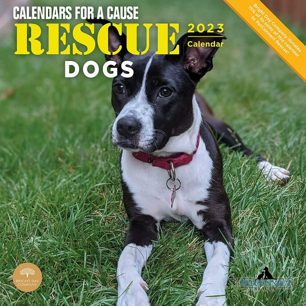 2023 Rescue Dogs Monthly Wall Calendar by Bright Day, Calendars For A