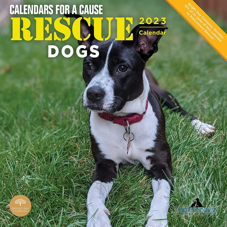 Pup Academic Calendar 2025 barbi benoite Pup Academic Calendar 2025 To 2025