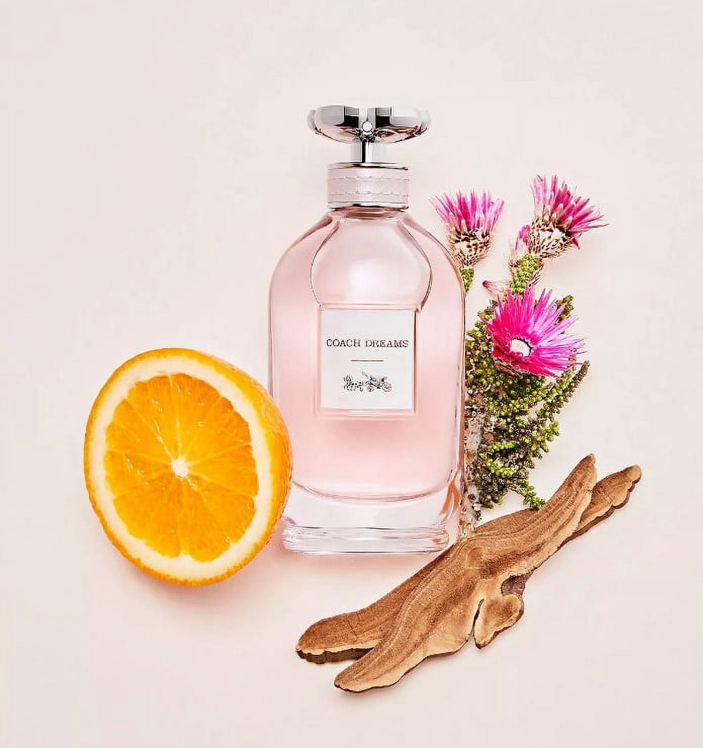 Coach Dreams by Coach Eau De Parfum Spray 3 oz For Women