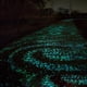 thumbnail image 5 of Fiudx Piedras Luminosas, 200 Unidades En La Oscuridad, Decorativas para Pasarelas y Acuarios, Se Cargan con La Luz Solar para Un Brillo Duradero, para Jardín Al Aire Libre, Pecera, Tamaño de 2,5 Cm, 5 of 7