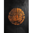 thumbnail image 1 of Qisvanset Framed Canvas Wall Art 12x16 Inch Dark Wood Tree Ring Grunge Minimal Modern Art, 1 of 5