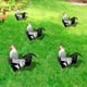 thumbnail image 1 of Estacas De Jardín Adorno de acrílico para fiestas en el patio, estatuas de animales para jardín para casa, granero (E) Ndcxsfigh  Libre de BPA, 1 of 4