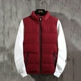 thumbnail image 2 of Men Long Sleeve Lined Flannel Jackets Collar Winter Color Autumn Vest Fashion Stand Top Blouse Streetwear Coat Chaquetas De Invierno, 2 of 5