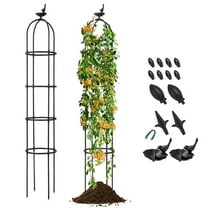 Spaco 2-Pack Garden Obelisk Trellis for Climbing Plants, Garden Tomato Cage, Decorative Rustproof Cucumber Trellis for Indoor & Outdoor, Black