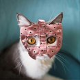 thumbnail image 5 of Cat Muzzle | Cat Muzzle For Nail Trimming | Cat Muzzles Breathable Cat Mouth Cover Cat Grooming Restraint Bags Anti Bite Anti Meow, 5 of 5