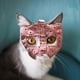 thumbnail image 5 of Cat Muzzle | Cat Muzzle For Nail Trimming | Cat Muzzles Breathable Cat Mouth Cover Cat Grooming Restraint Bags Anti Bite Anti Meow, 5 of 5