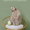 thumbnail image 5 of Cat Eggshell Swinging Ball Toy Funny Interactive Cat Stick Toy Automatically Play with -Green, 5 of 5