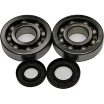 NEW ALL BALLS - 24-1047 - Crank Bearing and Seal Kit KAWASAKI KX 250 02-07