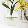 thumbnail image 3 of EeaseCA Transparent Bowl Desktop Microlandscape Bowl Multi-function Aquarium Bowl, 3 of 9