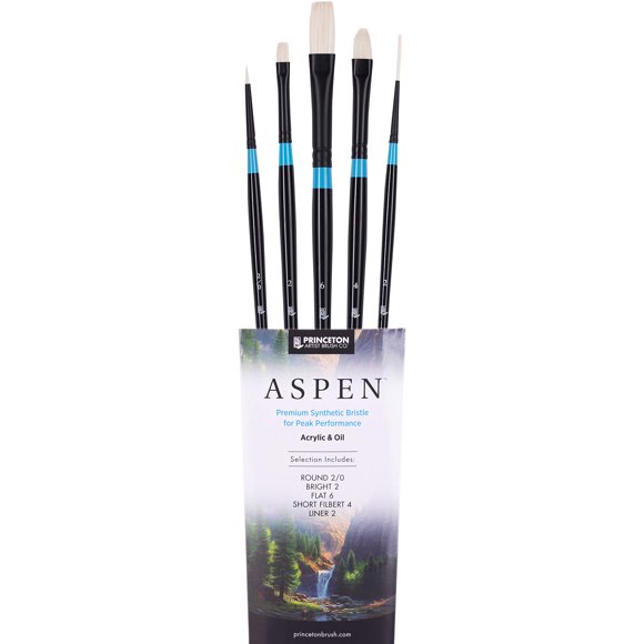 Set de 5 Pinceles Sintéticos Princeton Aspen 6500