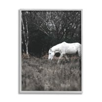 Stupell Industries Rural Monochrome Meadow Trees White Horse Grazing Framed Wall Art, 16 x 20, Design by Amy Brinkman