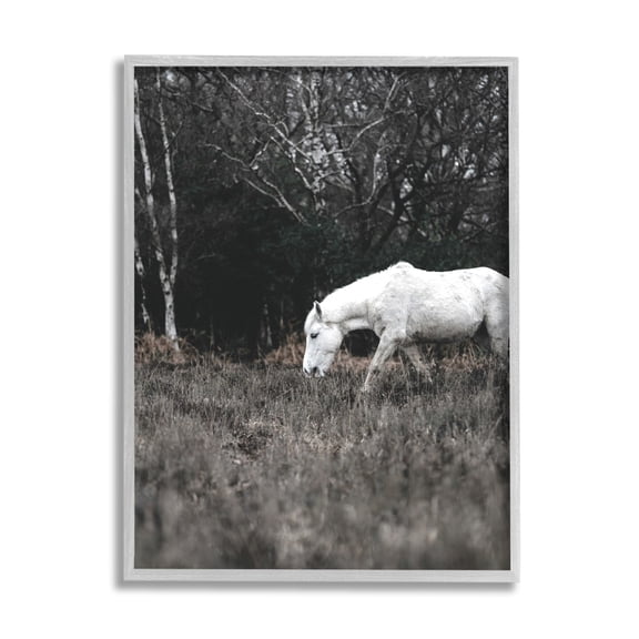 Stupell Industries Rural Monochrome Meadow Trees White Horse Grazing Framed Wall Art, 16 x 20, Design by Amy Brinkman